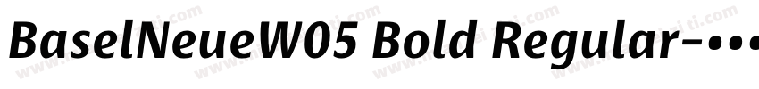 BaselNeueW05 Bold Regular字体转换